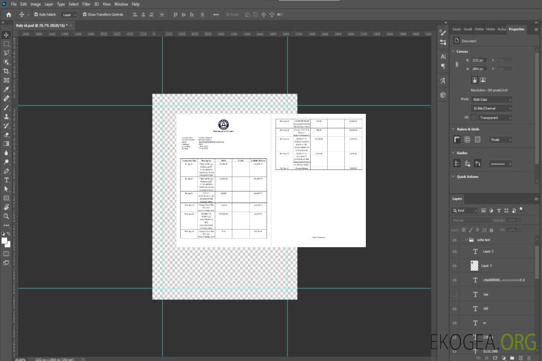 Relevé bancaire Pakistan Meezan 2 pages template Relevé bancaire Pakistan Meezan 2 pages template